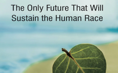 Can we restore the climate?