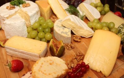 Saying YES to Animal-Free Dairy